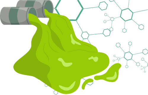Biomassa ricca in lipidi